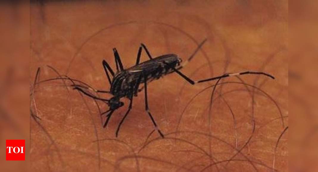 tamil-nadu-will-eliminate-malaria-by-2022-says-health-minister