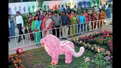 RMC’s flower show from Feb 1