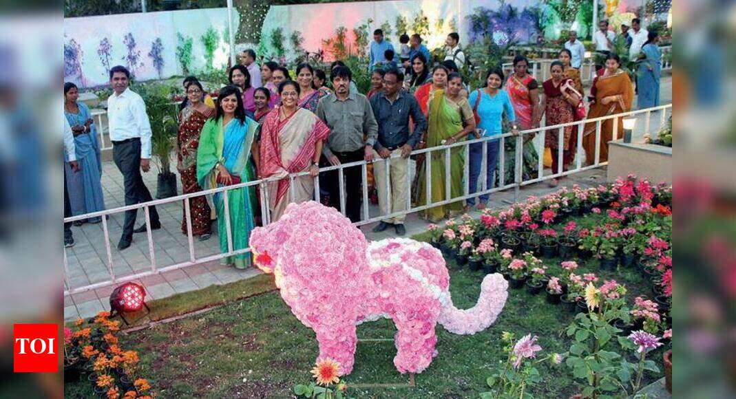 RMC’s flower show from Feb 1 Rajkot News Times of India