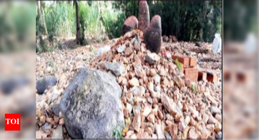 Kotikallina Kaadu Basappa Temple: At this Mandya temple, only stones ...