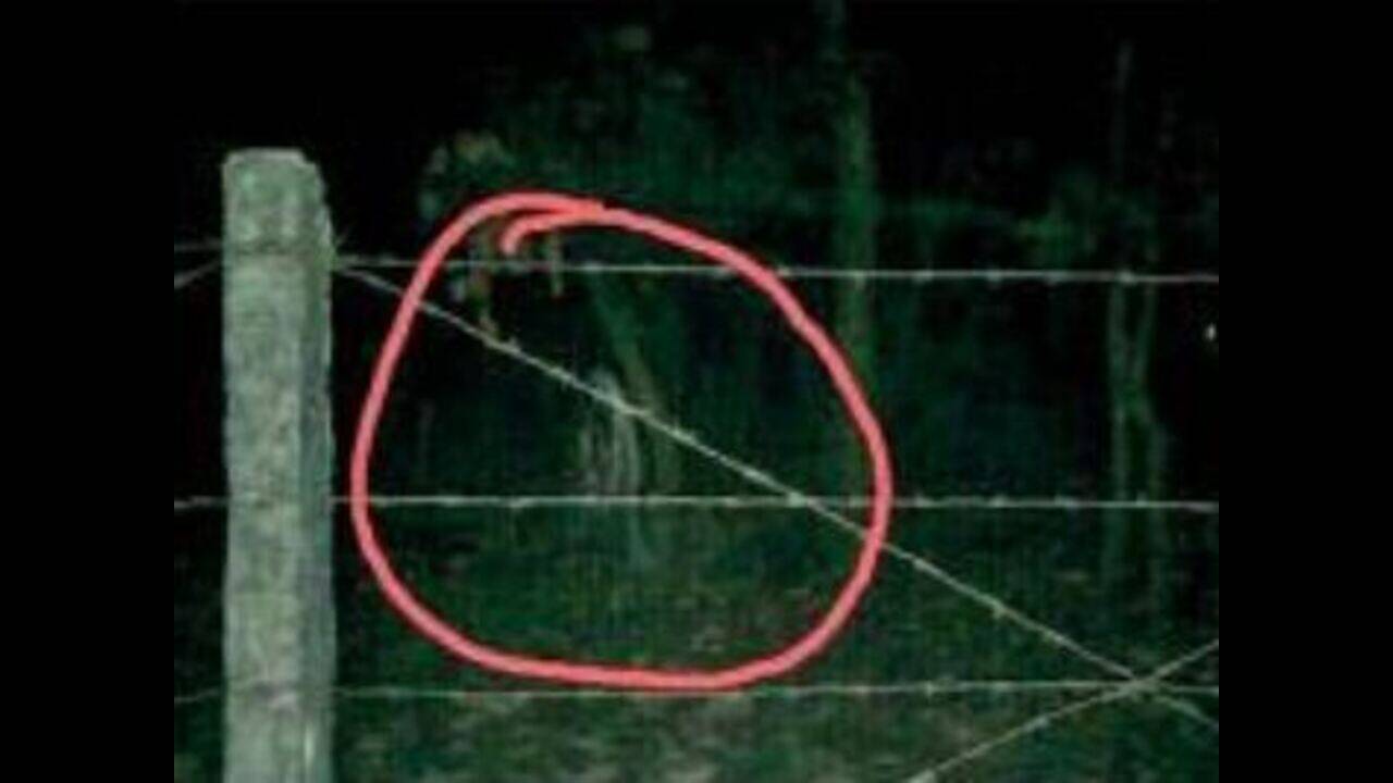 Fear of ghost in white grips North Bengal University | Kolkata News -  Times of India