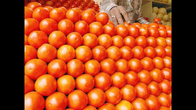 Wholesale rate of tomato dips to Rs 6-7 but retailers yet to relay benefit