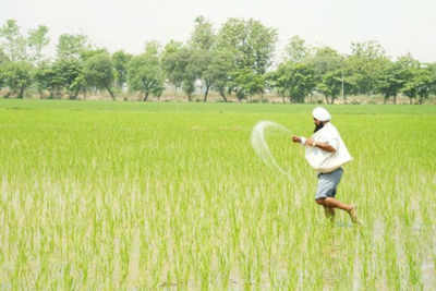 Kharif crops MSP could rise up to 47% post Budget announcement
