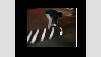 Three Trichy youths show the way, paint white stripes on speed breaker