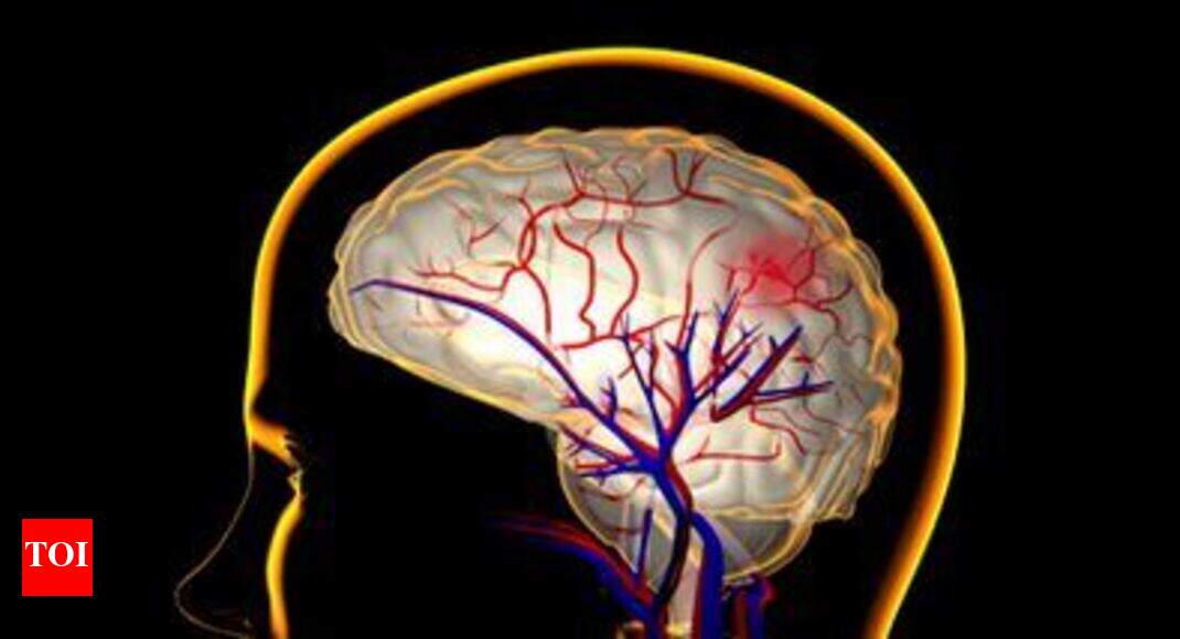 Researchers Discover Anxiety Cells In >> Researchers Discover Anxiety Cells In Brain Times Of India Researchers Discover Anxiety Cells In >> Researchers Discover Anxiety Cells In Brain Times Of India