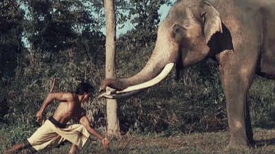 Exclusive: Vidyut Jammwal seeks the blessing of the Lord Ganesha in ‘Junglee’