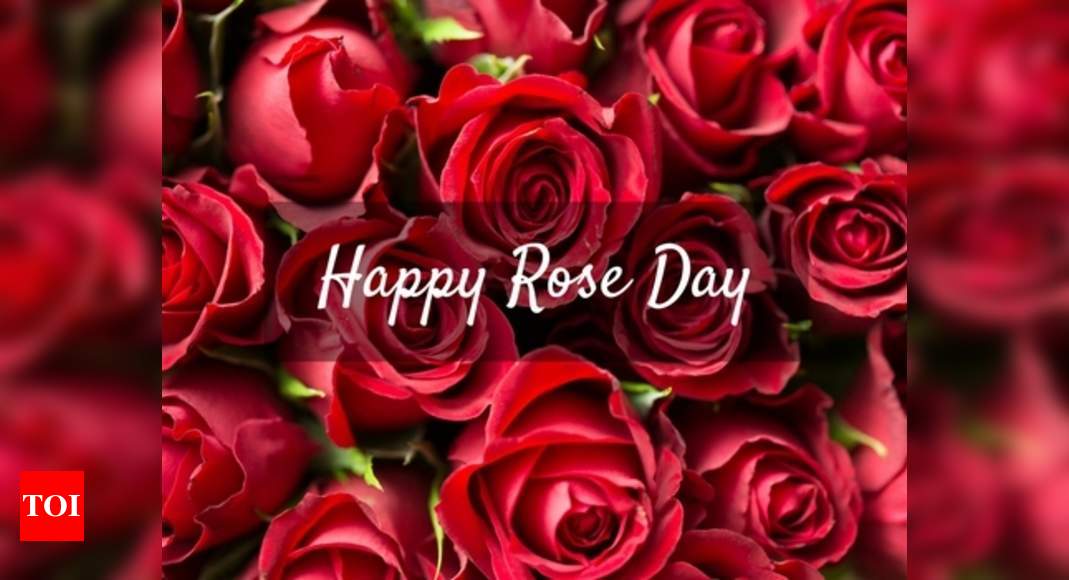 Happy Rose Day 2018: Wishes, Love Quotes, Sms'es, Whatsapp Status, Gif 