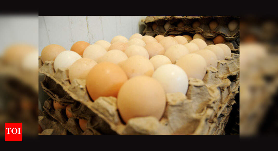 Hike In Egg Price Hits Export To Oman Hike in egg price hits export to