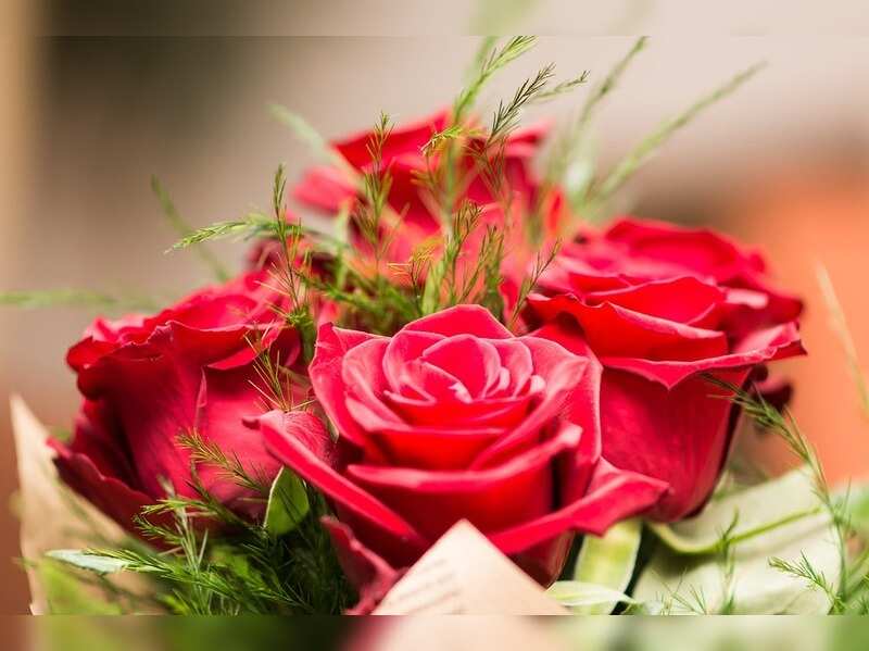 rose day gift for wife