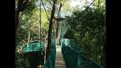 Country’s first canopy walk to be opened on February 18 in Uttara Kannada