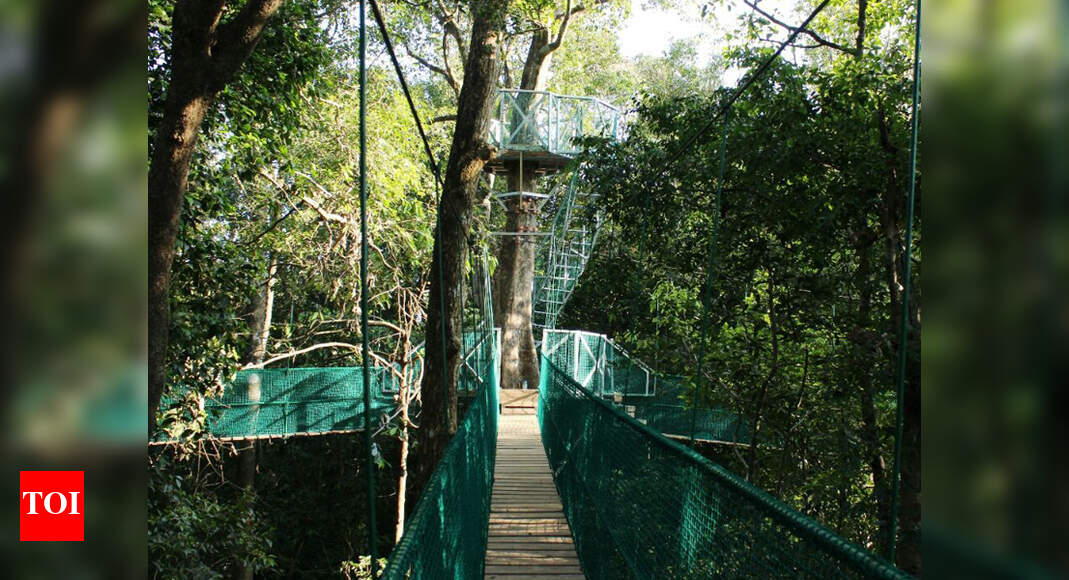 Country’s first canopy walk to be opened on February 18 in Uttara