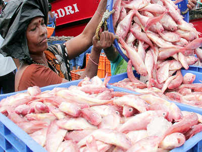 Meat and deals fish market