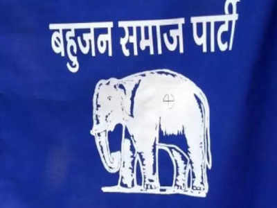 BSP income rose by 266% before 2017 UP assembly election