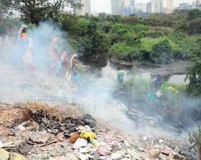Frequent fires along Thane creek line mangroves upset locals
