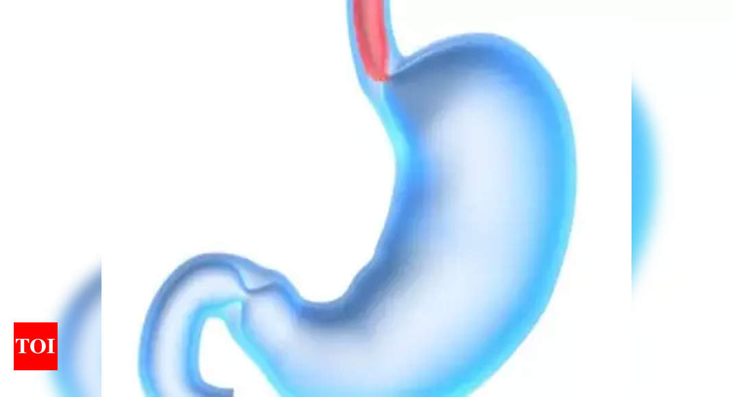 76% kids and teens in UP have worms in stomach | Lucknow News - Times ...