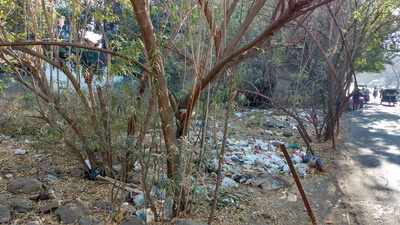 Plastic carnage in Wanawadi
