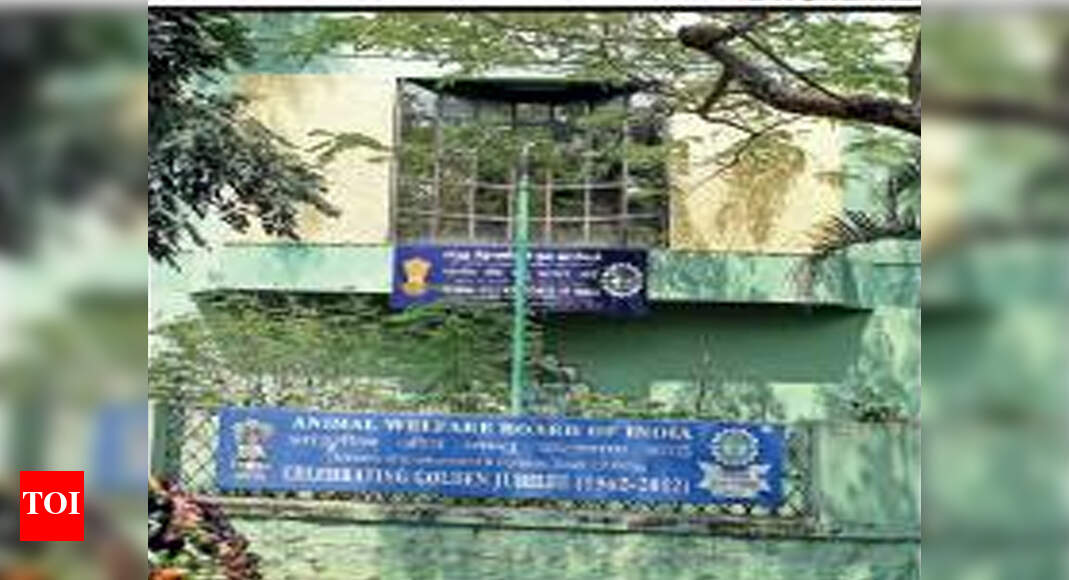 After 58 years, AWBI shifts to Haryana | Chennai News - Times of India After 58 years, AWBI shifts to Haryana | Chennai News - Times of India
