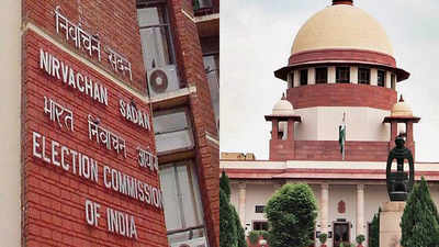 Empower us to deregister political parties: Poll panel to SC
