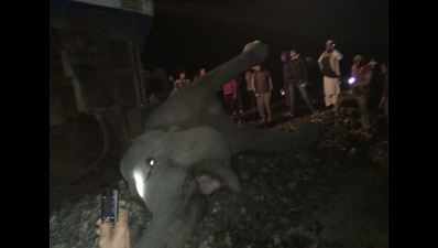Train mows down five elephants in Assam