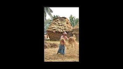 States queue up at rice-rich Bengal’s door for supply