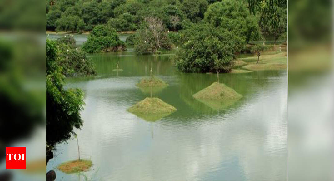 National Green Tribunal Residents In Colonies Near Lake Live On The Edge Bhopal News Times Of India