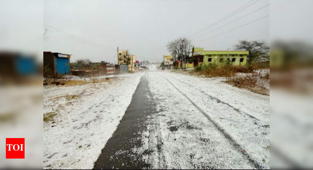 Unseasonal Rains: Maharashtra: Hail, rain damage crops in nearly 400 ...