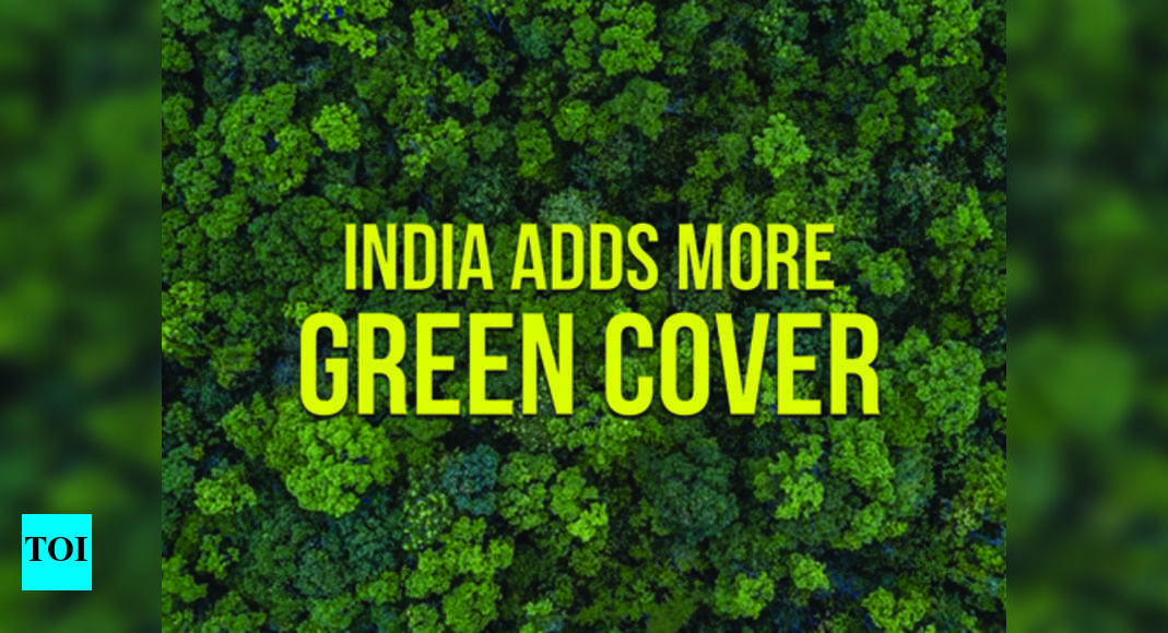 Infographic India adds to its green cover, but concerns remain India