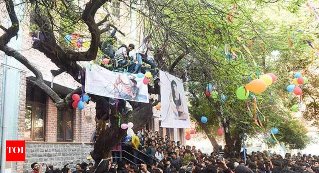 Hindu College: Why Hindu College's Virgin Tree is one of Delhi's most ...