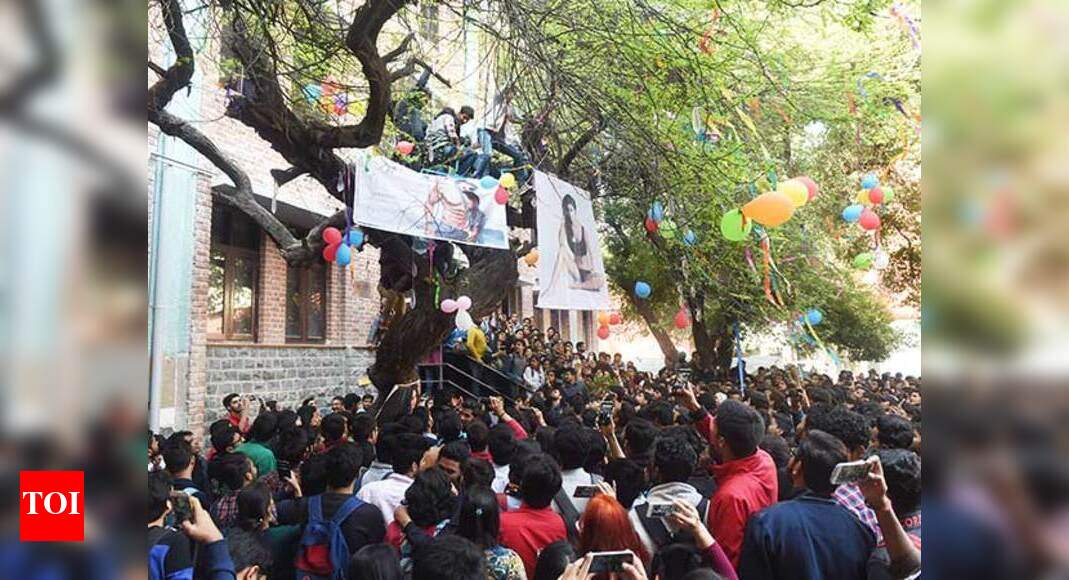 Hindu College: Why Hindu College's Virgin Tree is one of Delhi's most ...