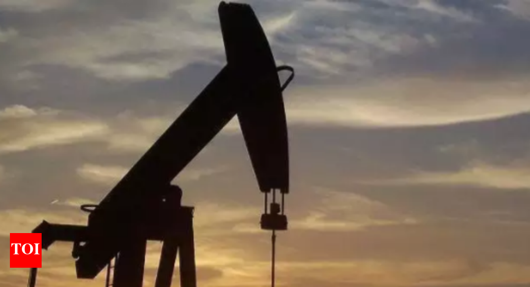 Abu Dhabi oil company to fill half of Mangalore oil reserves Times of