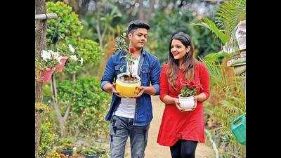Love is blooming in potted plants for Noida youngsters this Valentine’s Day