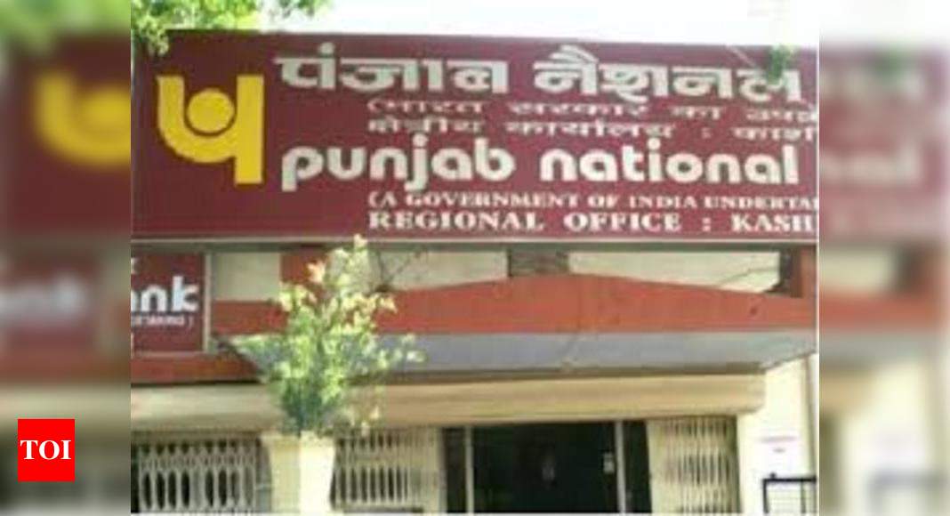 PNB share price: Punjab National Bank shares fall 8.5% on ...