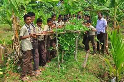 Govt school makes Rs 4 lakh annually from farm