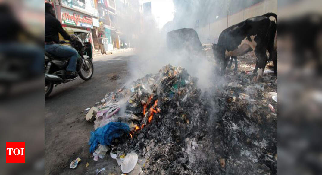 Garbage bonfires compromise state’s air, water | Goa News - Times of India