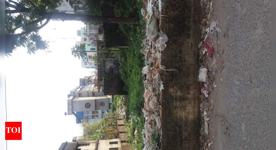 Empty plot or Garbage vat - Times of India
