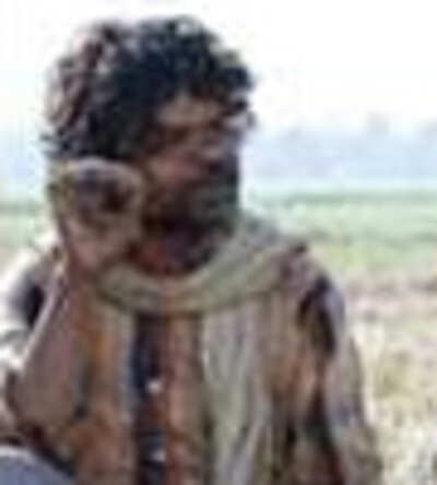 Movie Review of Aamir Khan's 'Peepli [Live]' | - Times of India