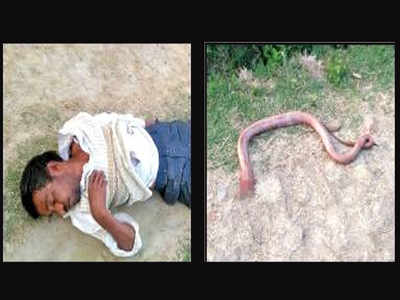 Image result for man eating snake india