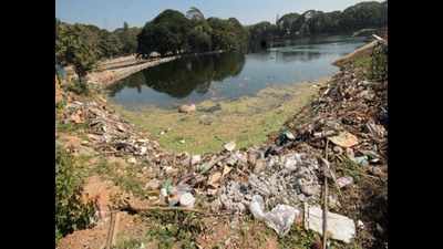 KSPCB data shows only two lakes in Bengaluru pass water quality test