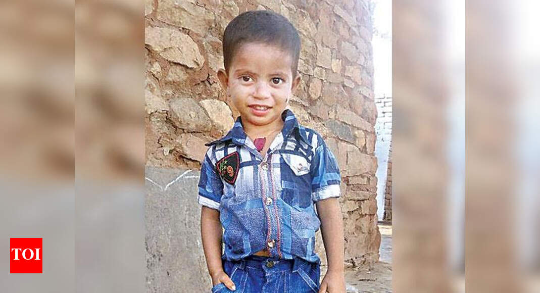 Dogs Kill Toddler: Stray dogs kill four-year-old boy in Andhra Pradesh ...