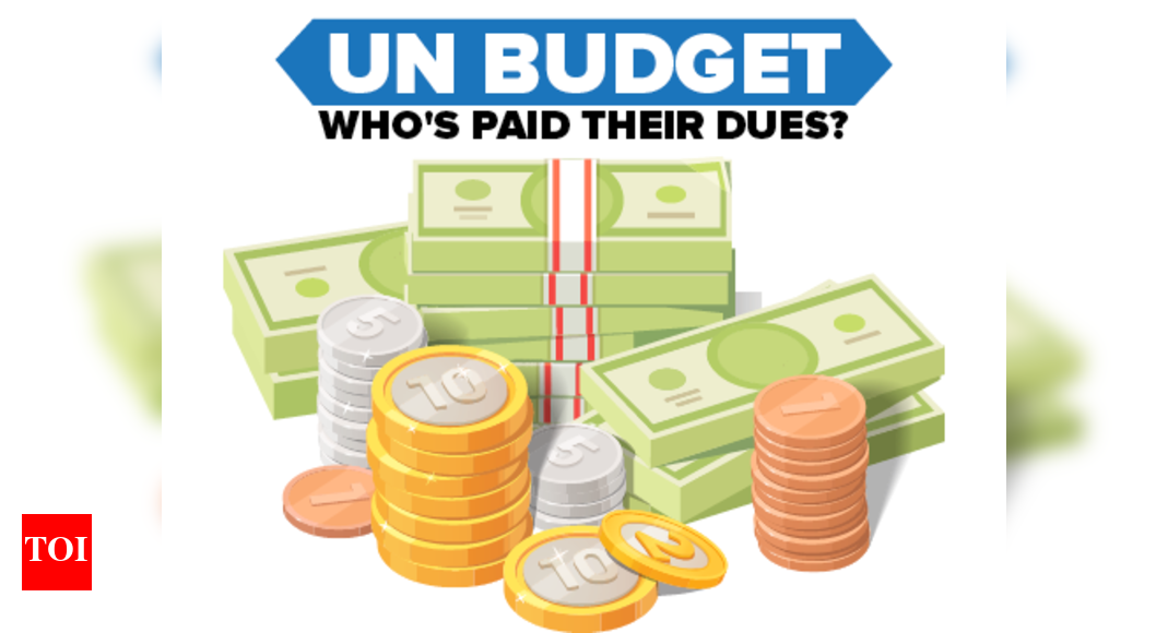 Infographic: Un Budget Which: UN budget 2018: Who's paid their dues ...