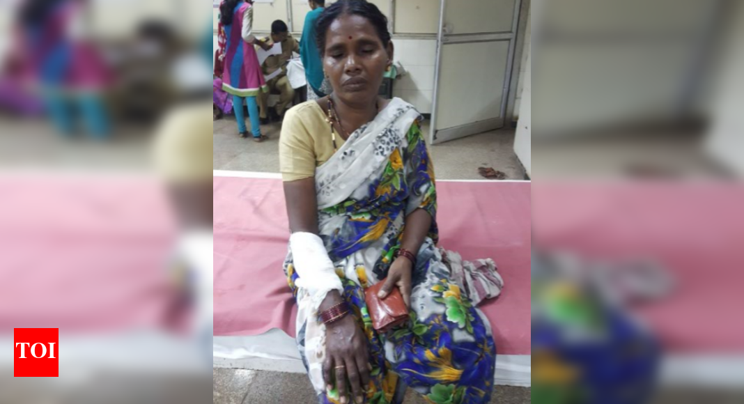 Leopard: Mumbai: Leopard attack victims yet to get compensation from ...