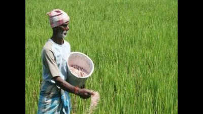 Soil survey bureau launches survey to help Yavatmal farmers