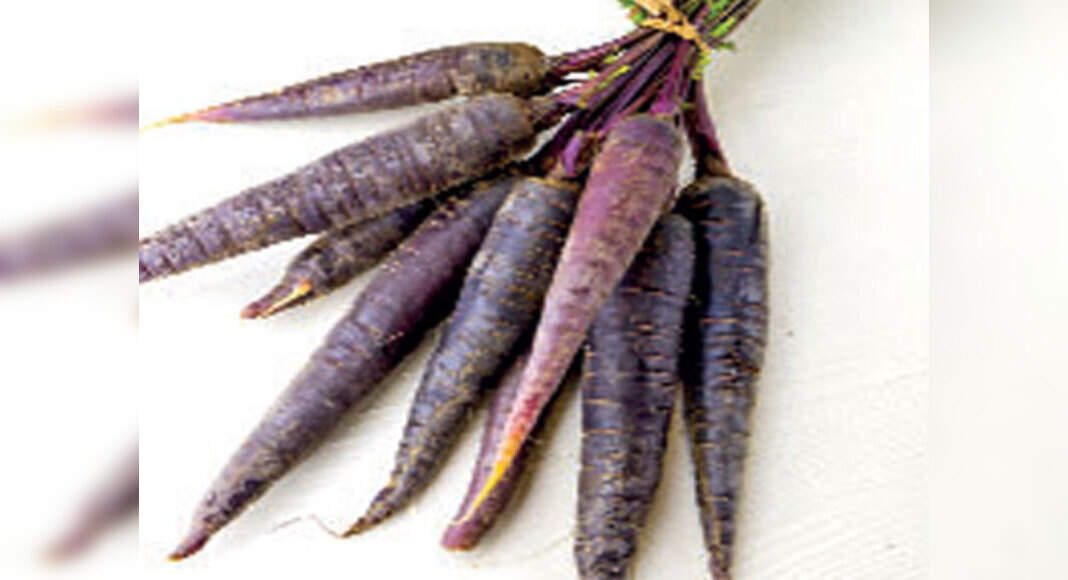 All you need to know about black carrots Food & Recipes