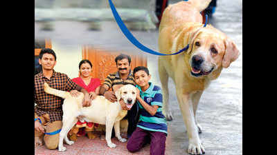 If not, the GHMC can deem it an ‘illegal posession’ and take your pooch away from you