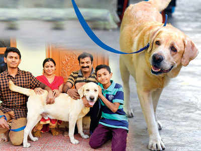 If not, the GHMC can deem it an ‘illegal posession’ and take your pooch away from you