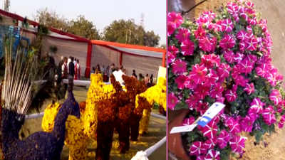 Noida flower show mesmerises visitors