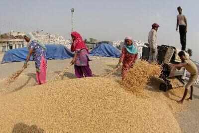 Foodgrain production may touch record 277 mn tonnes | India News ...