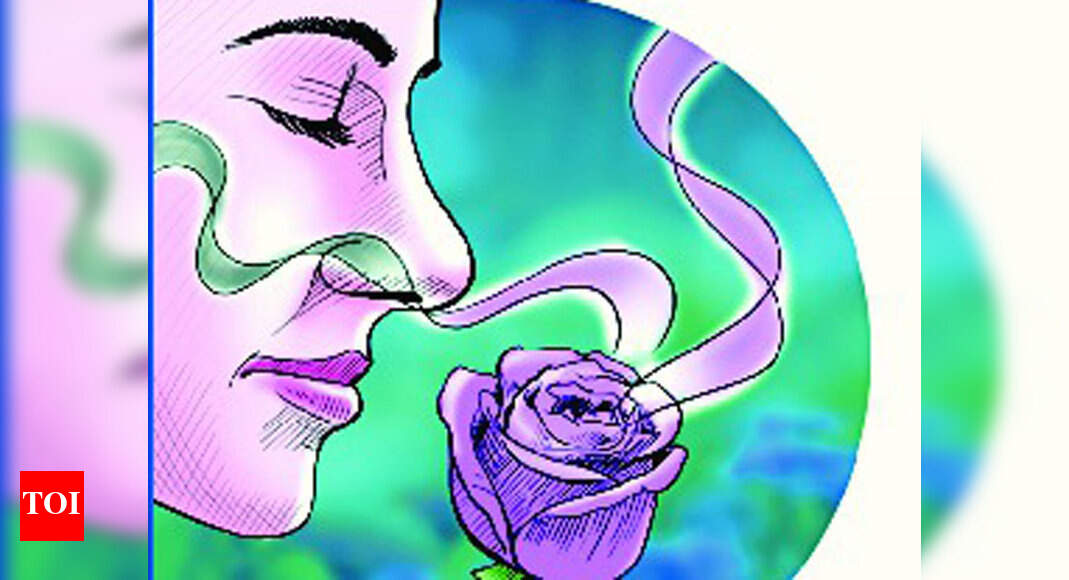 Our brain may navigate using just smells: Study - Times of India