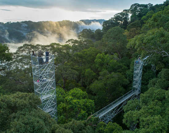 eco-Tourism: Ulu Temburong National Park is providing opportunity to