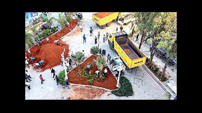 Day before Church Street opening, experts question BBMP's choice of Java fig saplings